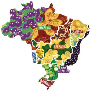 Biblioteca Nacional do Meio Ambiente - BNMA