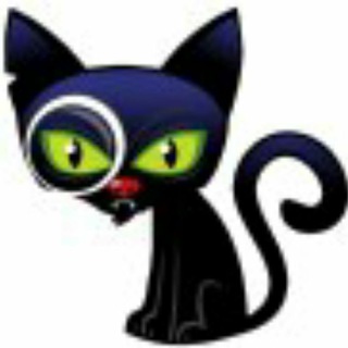 EveryZ Telegram Group Link