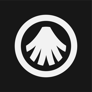 Telegram profile photo for Allora Network Announcements