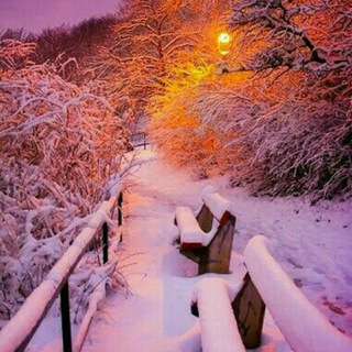 ͜͡🌸͜͡፨͜͡MEXRIBONI͜͡M͜͡፨͜͡🌸 Telegram Group Link