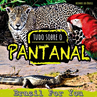 Pantanal чат Brazil For You