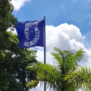 Cruzeiro EC SAF 🇧🇷🇮🇹 46/45 Telegram Group Link