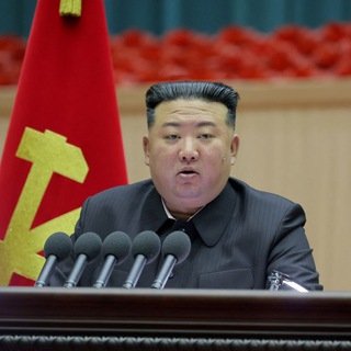 Telegram: Contact @piratariatelegram Telegram Group Link