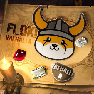 FLOKI瓦尔哈拉3D游戏资料