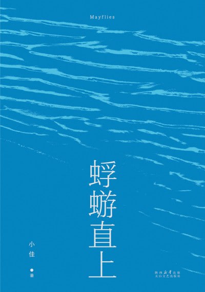 蜉蝣直上