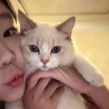 小鱼的小屋
