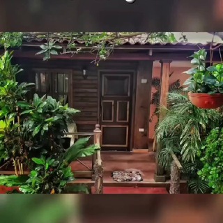 Casa La Cabana Obel Y Yoly , Viñales Telegram Group Link