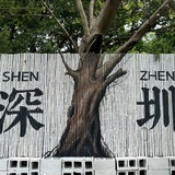 深圳修车社区资源榜