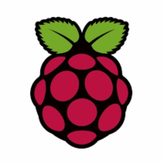 Raspberry Pi Brasil