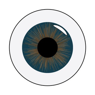 DataViz BR
