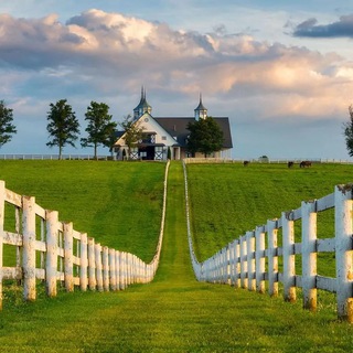 Наши в Kentucky штате Telegram Group Link