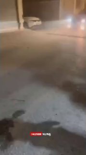 כתב תסנים זוכה בבית המשפט בישראל ושוחרר מהכלא סוכנות הידיעות תסנים פרסמה סרטון של רגע החופש של הכתב שלה וכת…