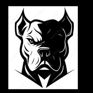 UNDERDOGS TRADERS sala de sinais grátis de opções binárias 🤑🤑