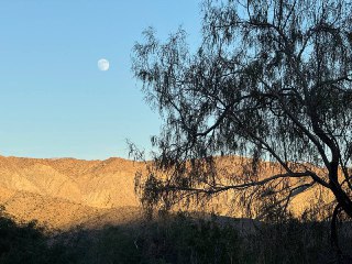 大漠的超级大月亮。