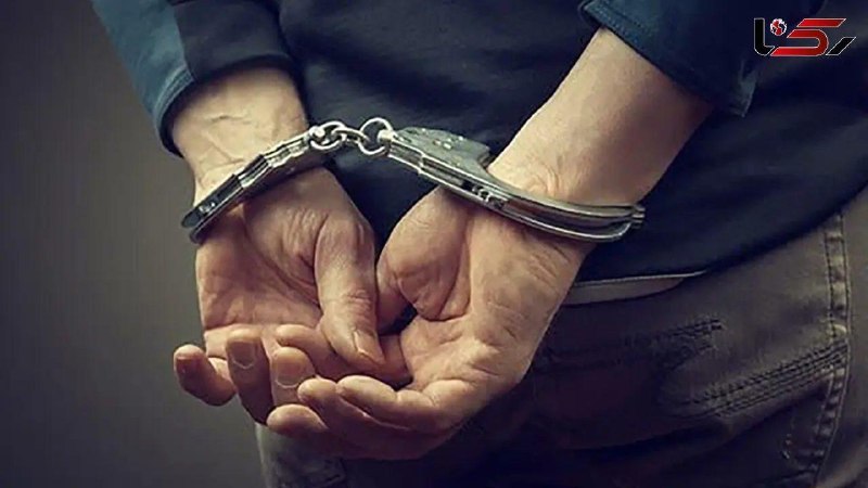 آژانس خبری رکنا | Rokna NEWS Agency: 🔶 قتل مسافر آلمان در تهران در تلخ ترین سناریوی خانوادگی رئیس پلیس آگاهی تهران بزرگ از کشف یک جنایت خانوادگی و دستگیری عا