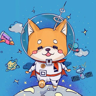 Baby Starlink Doge