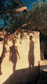 🪔הצג את הנפש התאומה שלך🪔