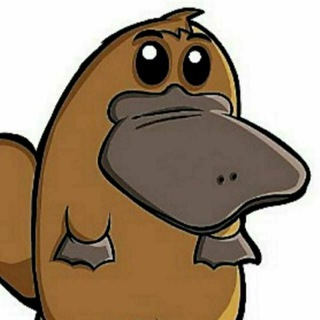 Seguidores de Deivid Morganson