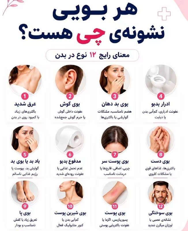 ساختمان پزشکان: ☑️هر بویی نشونه چی هست⁉️https://t.me/+PAMvx-g5HM7no9_Z