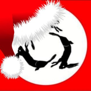 Scene girl nationalism Telegram channel profile photo
