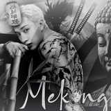 СПИМ MĒKONG INT