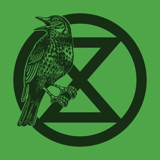 Sala de Espera XR México Telegram Group Link