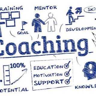 🎯 Coaching Prático | HP 🎯 Telegram Group Link