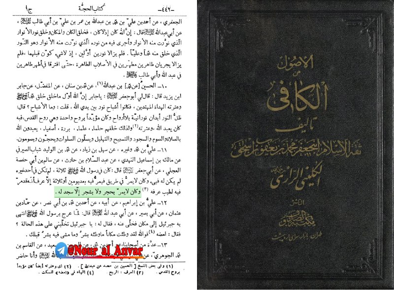 نور الأنوار: ⚡️ سجده سنگ و‌ درخت بر رسول الله صلی الله علیه و آله🪶 امام باقر علیه السلام فرمودند: در حضرت رسول الله صلى اللّٰه علیه و