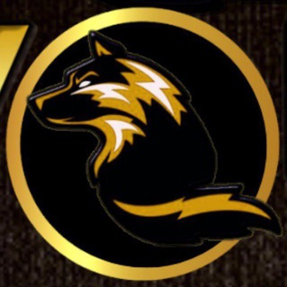 Telegram profile photo for WOLF SINAIS GRÁTIS- TRADER OFICIAL