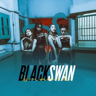 BlackSwan Brasil Telegram Group Link