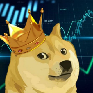 Rei do Dogecoin Telegram Group Link