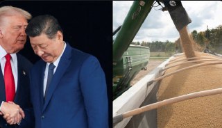 中国今年已购买至少800万吨美国大豆，差不多等于向特朗普承诺的购买量的三分之二。这些采购大多安排在12月至次年3月期间装运，此前美国担心中国可能不会兑现承诺。中国国有企业同时也购买了大量巴西和阿根廷的大豆。尤其是商业买家，对美国产品仍保持观望。2025年，中国采购了巴西近80%的大豆。截至11月，巴西对中国的大豆出口同比增长16%。白宫曾表示中国承诺将在年底前采购至少1200万吨美国大豆，后来澄清截止时间是次年2月底。北京方面并未确认，但已经下调了大豆进口关税，并取消了对三家美国出口商的进口禁令。由于双方未