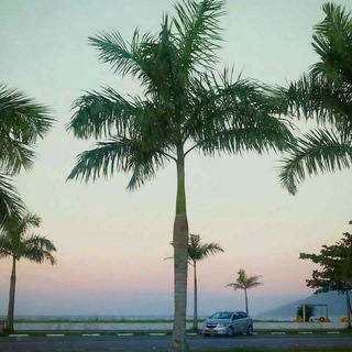 Caraguatatuba