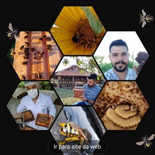 Meliponário Yraptã - Meliponicultura na Prática