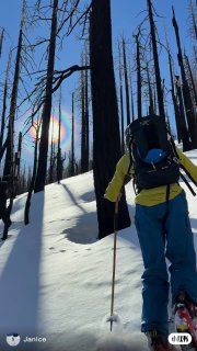 暴雪后三天，我在Tahoe找到了一个无痕树林我们怎么能这么机智！ 视频关键词：北坡2000ft无痕树林几乎不是avalanche terrain暴雪后三天仍然能承包整个山头 还看到彩色日晕！果然只要另辟蹊径，就能快乐[偷笑R] #2026冬冬冬动#雪友圈 #粉雪 #小树林滑雪 #🎿 #tahoe #登山滑雪热门评论:▸ 匿名: 被燒過的[害羞R]▸ 匿名: 忽然意识到这种被烧过的山头是不是特别好滑（太地狱了▸ 匿名: 这是滑野雪吗▸ 匿名: 看着有点硬壳雪啊▸ 匿名: 这是哪啊？