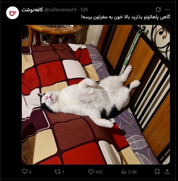 pussy&poem: رسانه پست