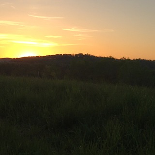 Vermont Exposed Chat Telegram Group Link