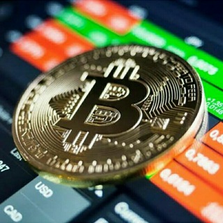 Bitcoin Traders Capital Telegram Group Link