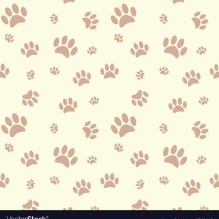 Telegram profile photo for STL PET & ANIMAIS π»πΆ