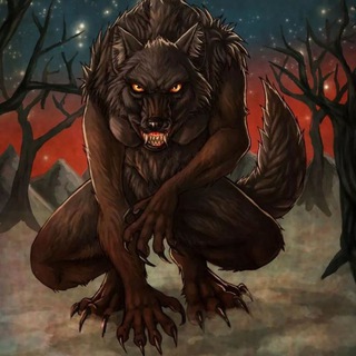 Among e Lobinho (discord na descrição) Telegram Group Link