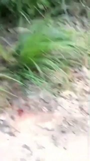 ️🇨🇴 גרפיקה: לפי הדיווחים, FARC ארב לחברי ELN בקטטומבו, כאשר אחד מלוחמי FARC נראה נושא רובה סער AK-103, ככ…