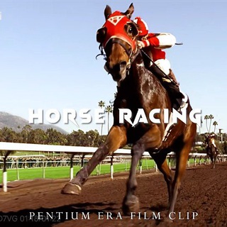 资源 Telegram Group Link