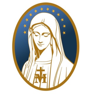 VINDE E VEDE BRASIL Telegram Group Link