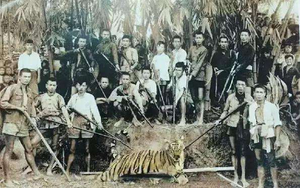 【来自投稿】上个世纪五十年代，新中国正开始声势浩大地进行土地改革运动，因为固有耕地数量不够，政府开始鼓励百姓开垦荒地，无数的荒地开始被挖掘，成为百姓的自有耕地