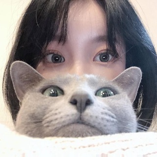 ✨ 𝐊𝐏𝐎𝐏 𝐕𝐈𝐃𝐄𝐎𝐒✨ Telegram Group Link