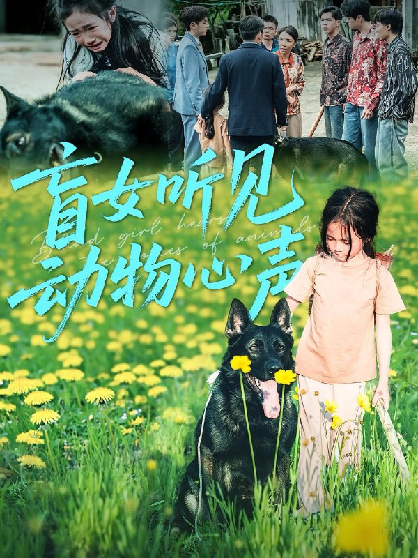 短剧合集目录2