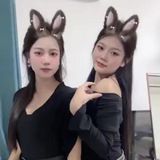 华纳飞投真人视讯百家乐平台