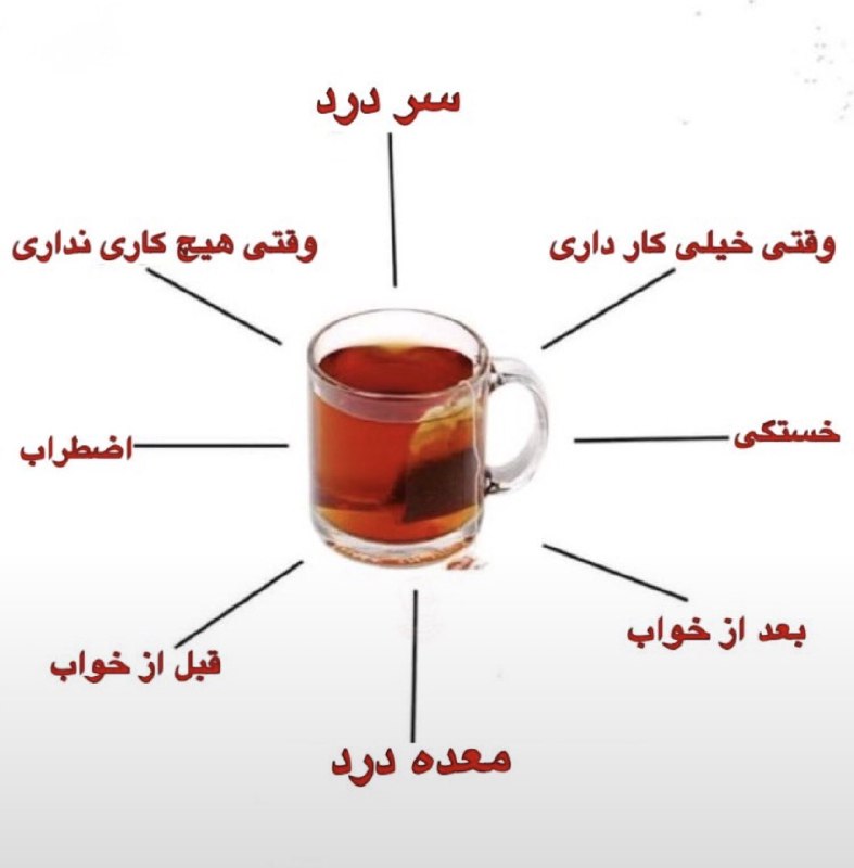 Xsher: و خیلی جاهای دیگه:)🍊@TheXsher@TheXsher