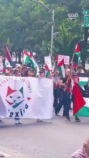 אלפי מפגינים במקסיקו מחדשים את הסולידריות שלהם עם פלסטין ודורשים מממשלת ארצם לנתק את הקשר עם ישראל הישראלי…