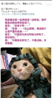 宠物医生的震撼发言 source